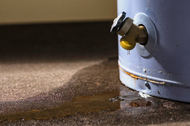 Best Water damage contractors near me  in Oakwood, GA