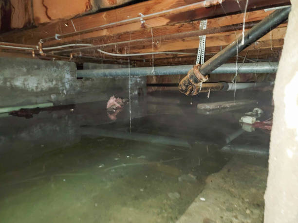Best Flooded house restoration  in Oakwood, GA