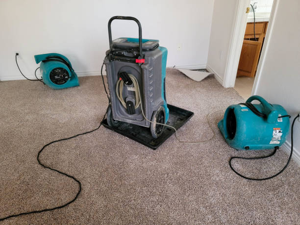 Best 24/7 water damage repair  in Oakwood, GA