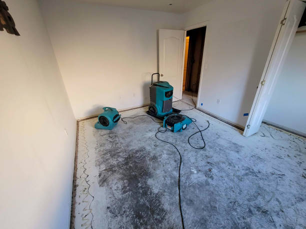 Best Commercial water damage restoration  in Oakwood, GA