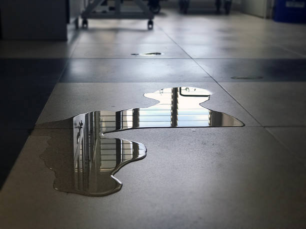 Best Water damage mitigation services  in Oakwood, GA
