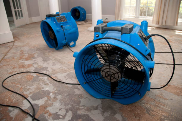 Best 24/7 water damage repair  in Oakwood, GA
