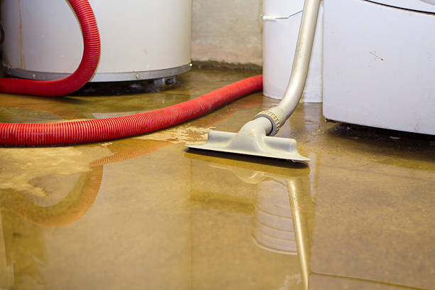 Best Sewage cleanup and water damage restoration  in Oakwood, GA