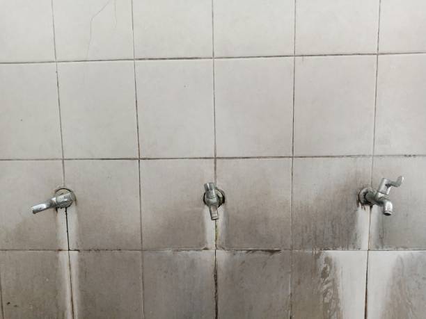 Best Water damage restoration experts  in Oakwood, GA