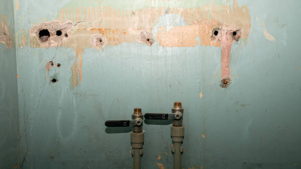 Carpet water damage restoration in Oakwood, GA