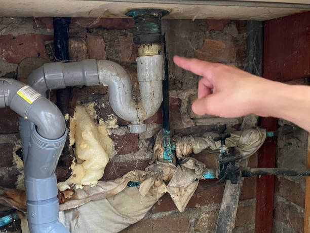Trusted Oakwood, GA Water damage restoration Experts