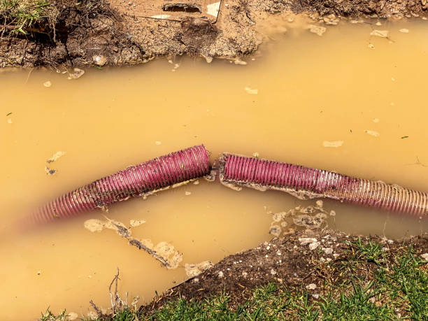 Best 24-hour water damage restoration  in Oakwood, GA